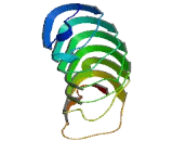 Leucine Rich Repeat Containing Protein 57 (LRRC57)