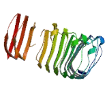 Leucine Rich Repeat Containing Protein 61 (LRRC61)