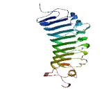 Leucine Rich Repeat Containing Protein 66 (LRRC66)