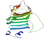 Protein Phosphatase 1, Regulatory Subunit 42 (PPP1R42)