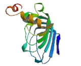 Leucine Rich Repeat Containing Protein 72 (LRRC72)