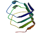 Leucine Rich Repeat Containing Protein 8A (LRRC8A)