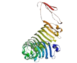 Leucine Rich Repeat Containing Protein 9 (LRRC9)