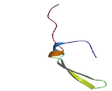 Leucine Rich Repeat Immunoglobulin Like And Transmembrane Domains Protein 1 (LRIT1)