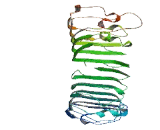 Leucine Rich Repeat Immunoglobulin Like And Transmembrane Domains Protein 2 (LRIT2)