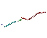 Leucine Rich Repeat In FLII Interacting Protein 2 (LRRFIP2)