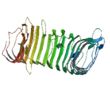 Leucine Rich Repeat Kinase 1 (LRRK1)