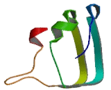 Leucine Rich Repeat LGI Family, Member 2 (LGI2)