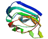 Leucine Rich Repeat LGI Family, Member 3 (LGI3)