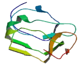 Leucine Rich Repeat LGI Family, Member 4 (LGI4)