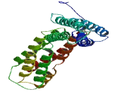 Leucine Rich Repeats And IQ Motif Containing Protein 3 (LRRIQ3)