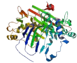 Leucine Rich Repeats And IQ Motif Containing Protein 4 (LRRIQ4)