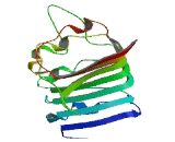 Leucine Rich Repeats And Immunoglobulin Like Domains Protein 1 (LRIG1)