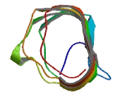 Leucine Rich Repeats And Transmembrane Domains Protein 1 (LRTM1)