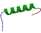 Leucine Rich Transmembrane And 0-Methyltransferase Domain Containing Protein (LRTOMT)