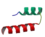 Leucine Twenty Homeobox (LEUTX)