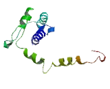 Leucine Zipper, Down Regulated In Cancer 1 (LDOC1)