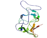 Leucine Zipper, Down Regulated In Cancer 1 Like Protein (LDOC1L)