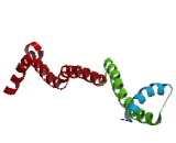 Leucine Zipper, Putative Tumor Suppressor 1 (LZTS1)