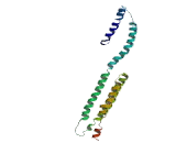 Leucine Zipper EF-Hand Containing Transmembrane Protein 1 (LETM1)