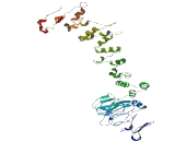 Leucine Zipper EF-Hand Containing Transmembrane Protein 2 (LETM2)