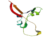 Leucine Zipper Protein 3 (LUZP3)