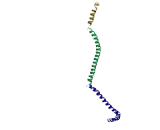 Leucine Zipper Transcription Factor Like Protein 1 (LZTFL1)