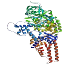 Leucyl tRNA Synthetase (LARS)