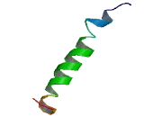 Leukocyte Cell Derived Chemotaxin 1 (LECT1)