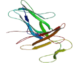 Leukocyte Immunoglobulin Like Receptor Subfamily A, Member 2 (LILRA2)