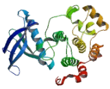 Leukocyte Tyrosine Kinase (LTK)