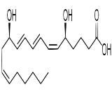 Leukotriene B4 (LTB4)