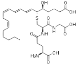 Leukotriene C4 (LTC4)