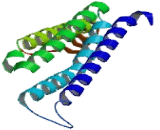 Leukotriene C4 Synthase (LTC4S)