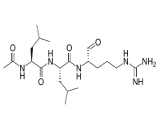 Leupeptin (LP)