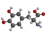 Levodopa (LDP)