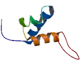 Ligand Dependent Nuclear Receptor Corepressor (LCOR)