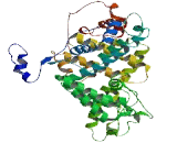 Ligand Dependent Nuclear Receptor Corepressor Like Protein (LCORL)