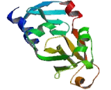 Eukaryotic translation initiation factor 2D (EIF2D)