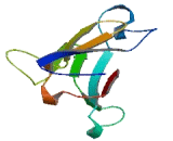 Matrix Remodelling Associated Protein 8 (MXRA8)