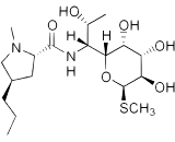 Lincomycin (LCM)