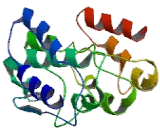 Linker For Activation Of T-Cell (LAT)