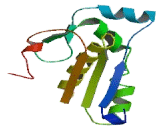 Lipase, Diacylglycerol Beta (DAGLb)