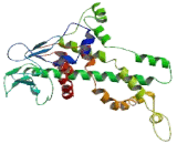 Lipase Maturation Factor 1 (LMF1)