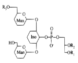 Lipoarabinomannan (LAM)