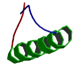 Lipocalin 15 (LCN15)