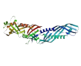 Lipopolysaccharide Binding Protein (LBP)