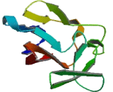 Lipopolysaccharide Induced TNF Factor (LITAF)