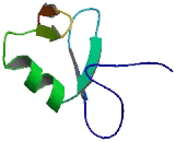 Listerin E3 Ubiquitin Protein Ligase 1 (LTN1)