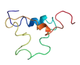 Long Chain Human Insulin Like Growth Factor 1 R3 (IGF1LR3)